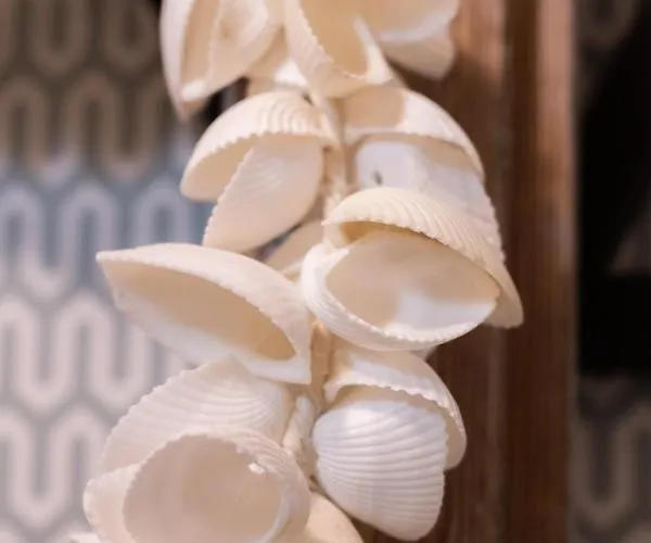 아파트 Trilocale Luna 리치오네